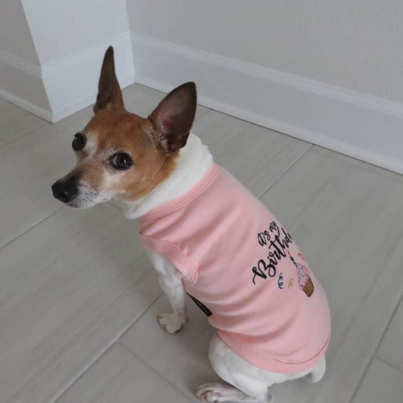 {{product_title}} - Cookies Wagging Friends Boutique