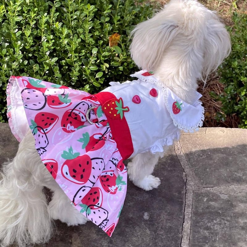 {{product_title}} - Cookies Wagging Friends Boutique