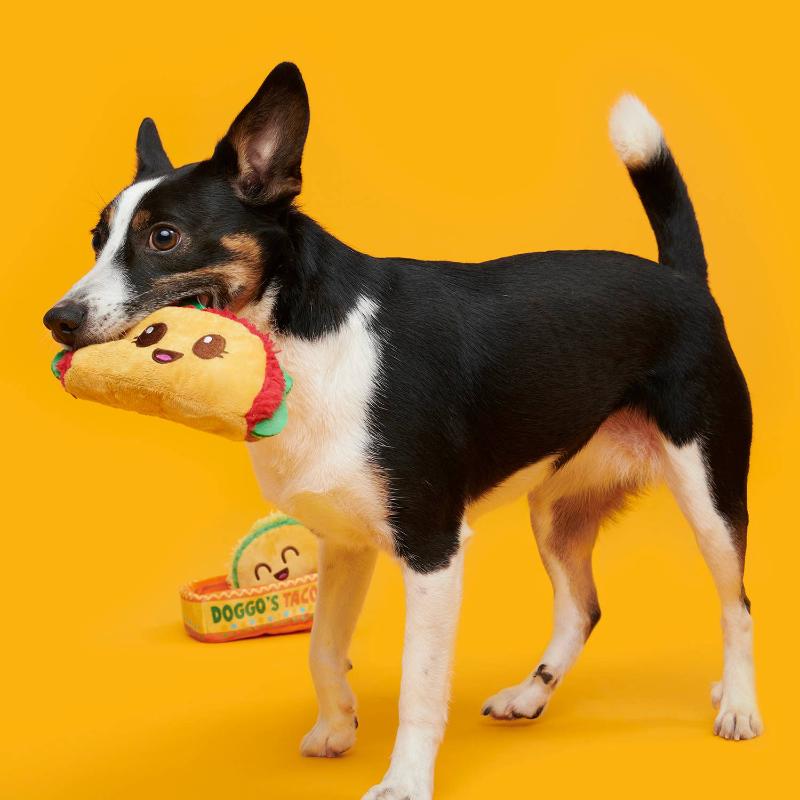 {{product_title}} - Cookies Wagging Friends Boutique