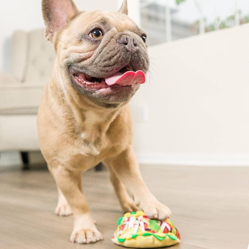 {{product_title}} - Cookies Wagging Friends Boutique