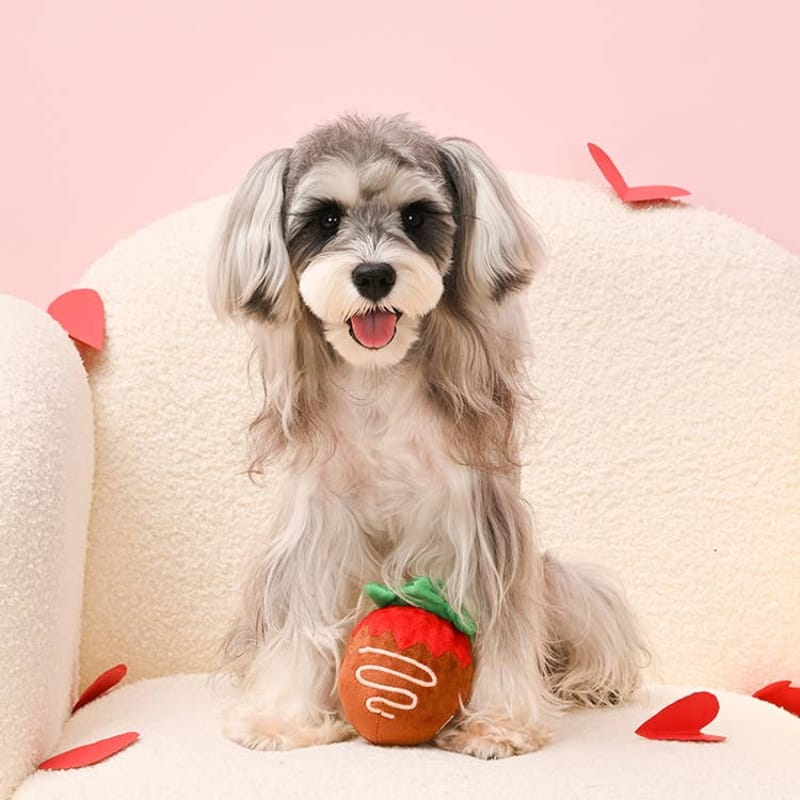 {{product_title}} - Cookies Wagging Friends Boutique