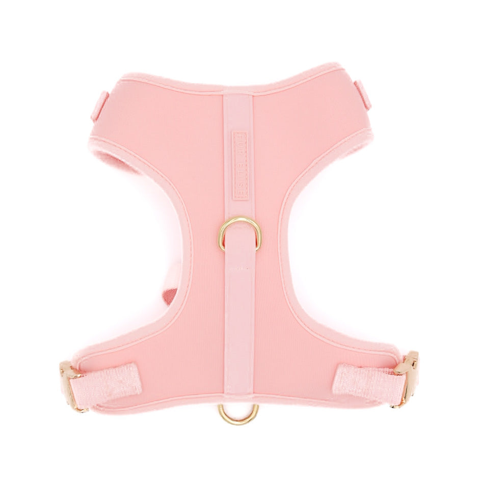 {{product_title}} - Cookies Wagging Friends Boutique