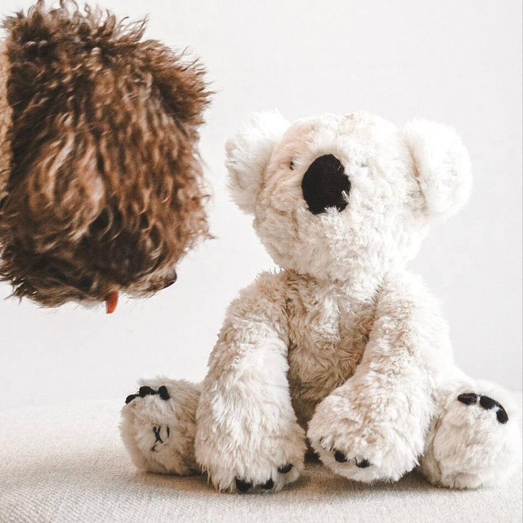 {{product_title}} - Cookies Wagging Friends Boutique