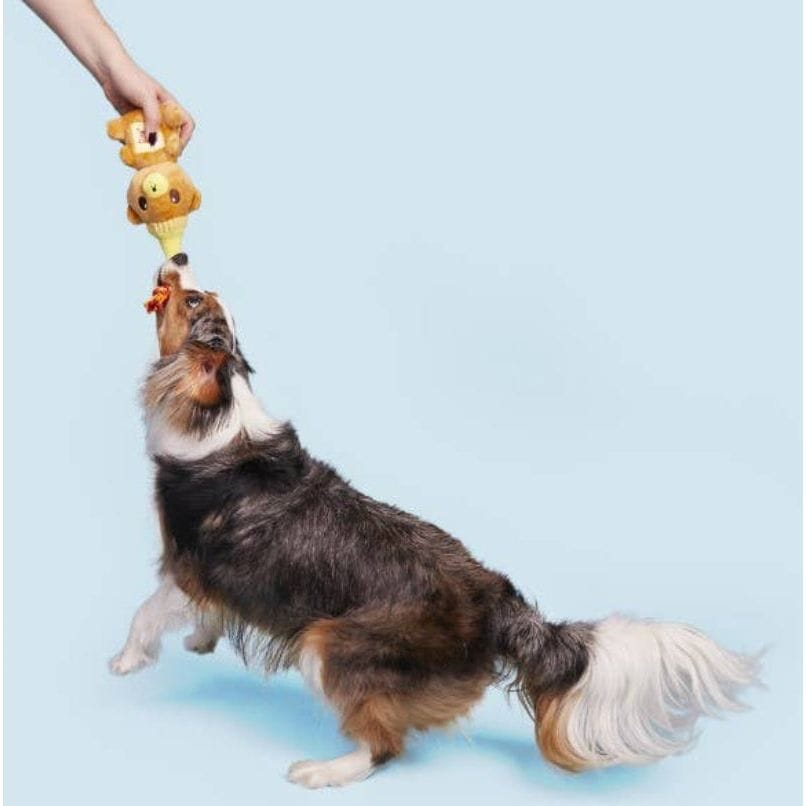 {{product_title}} - Cookies Wagging Friends Boutique