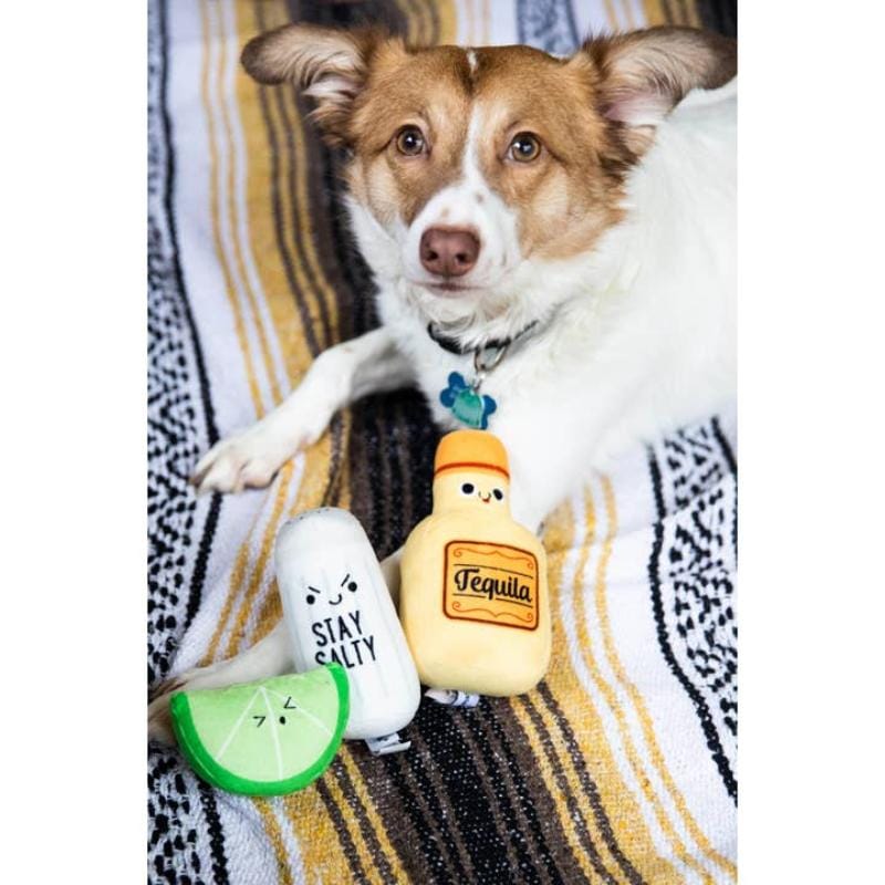 {{product_title}} - Cookies Wagging Friends Boutique
