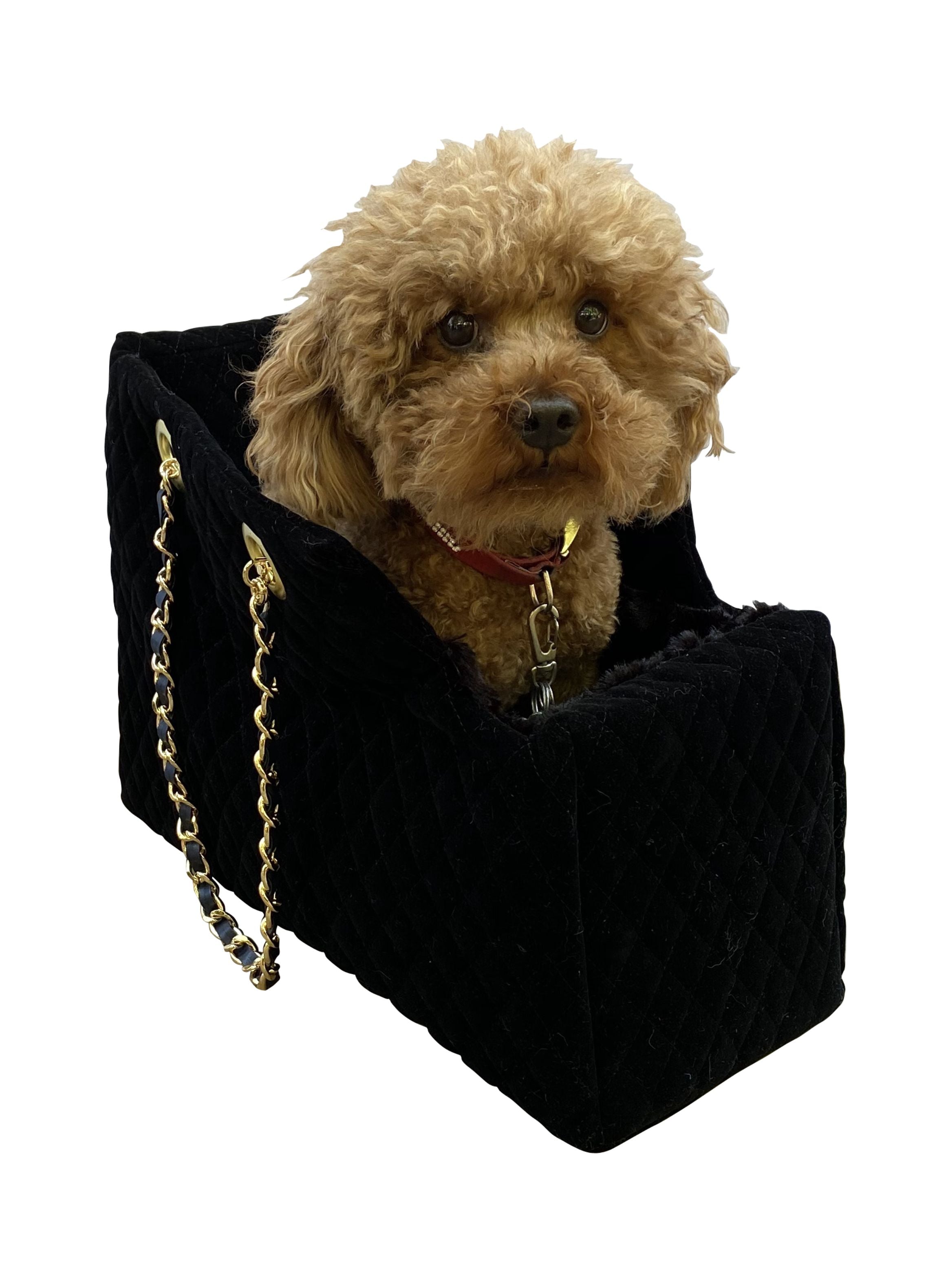 {{product_title}} - Cookies Wagging Friends Boutique