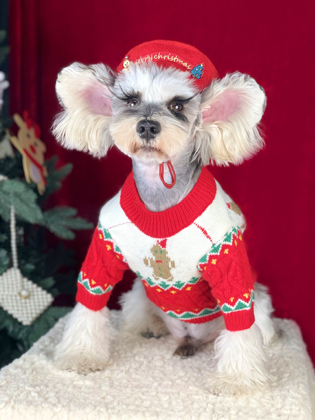 {{product_title}} - Cookies Wagging Friends Boutique
