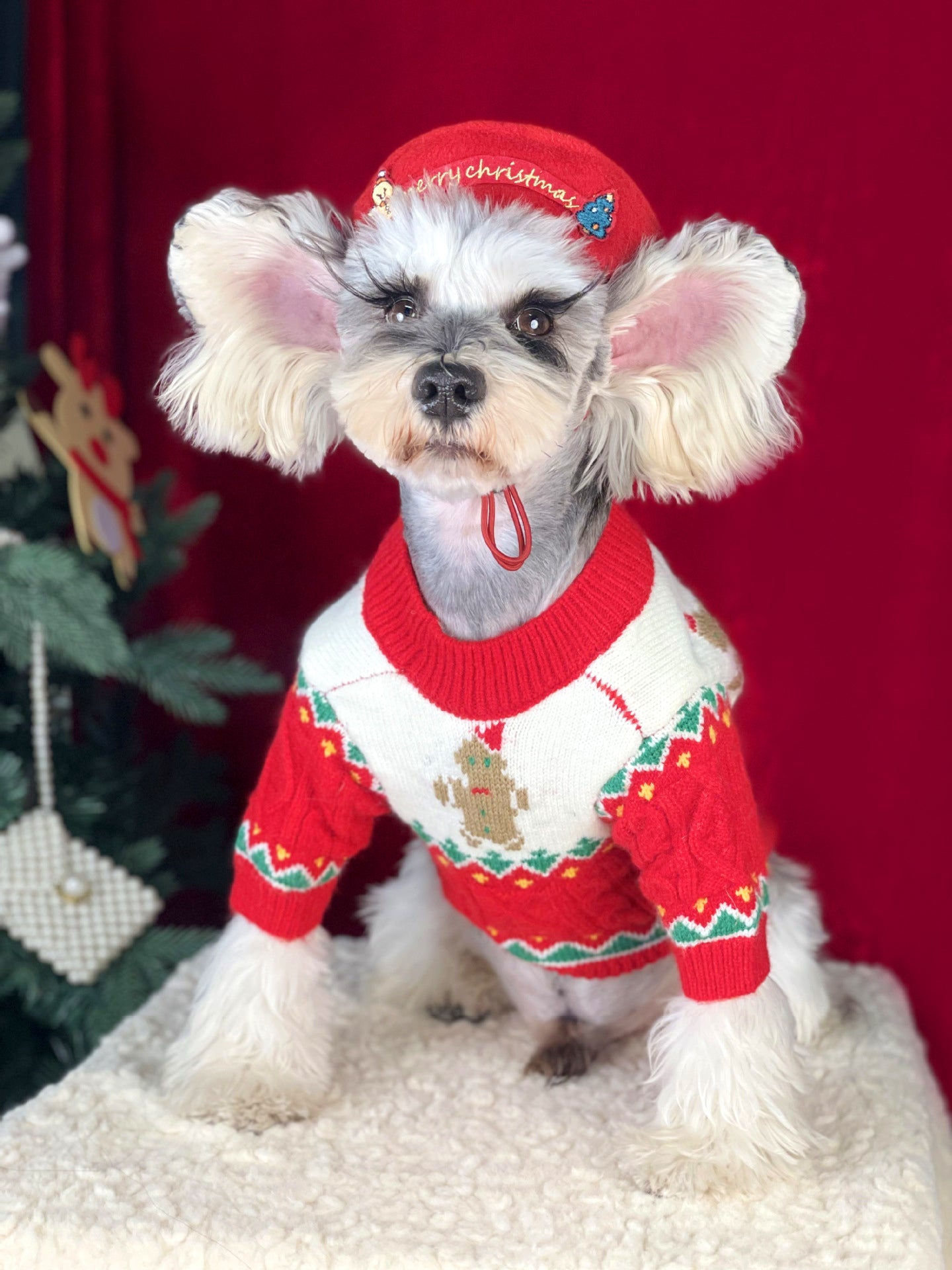 {{product_title}} - Cookies Wagging Friends Boutique
