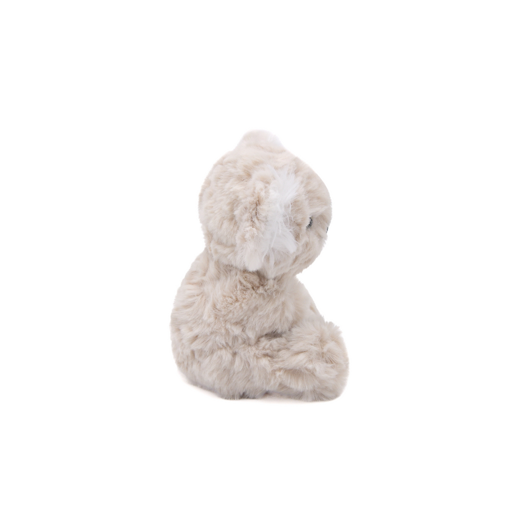 {{product_title}} - Cookies Wagging Friends Boutique