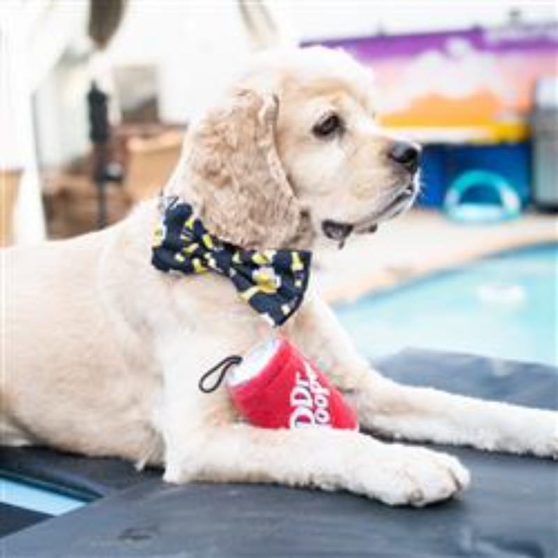 {{product_title}} - Cookies Wagging Friends Boutique