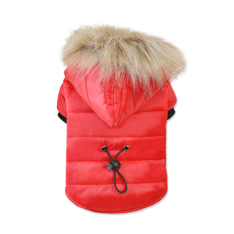 {{product_title}} - Cookies Wagging Friends Boutique