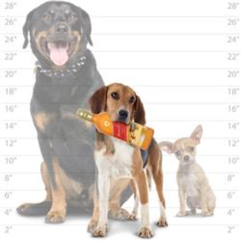 {{product_title}} - Cookies Wagging Friends Boutique