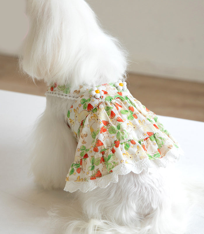 {{product_title}} - Cookies Wagging Friends Boutique