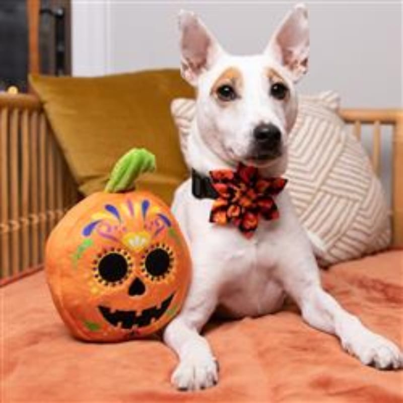 Orange pumpkin plush squeak dog toy with sugar skull face and jack-o'-lantern grin