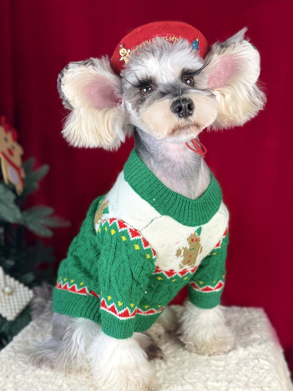 {{product_title}} - Cookies Wagging Friends Boutique