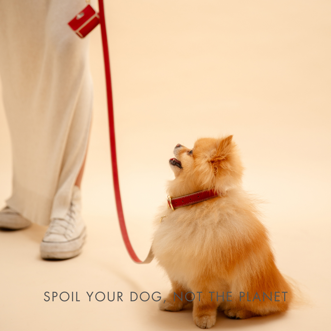 {{product_title}} - Cookies Wagging Friends Boutique