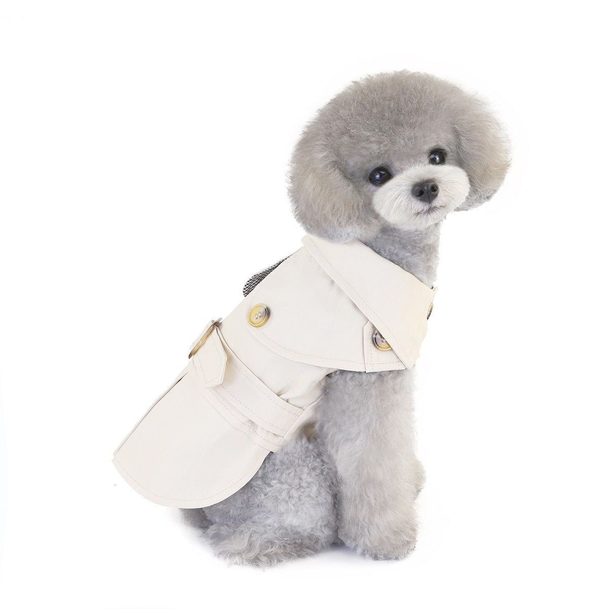 {{product_title}} - Cookies Wagging Friends Boutique