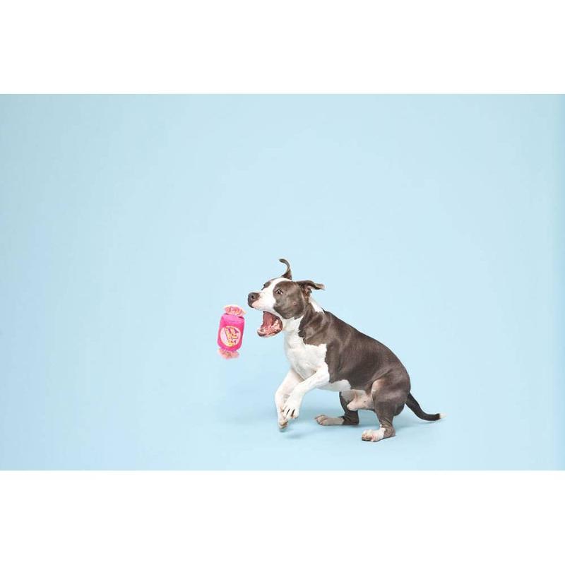 {{product_title}} - Cookies Wagging Friends Boutique