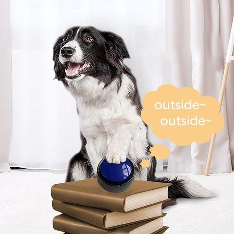 {{product_title}} - Cookies Wagging Friends Boutique