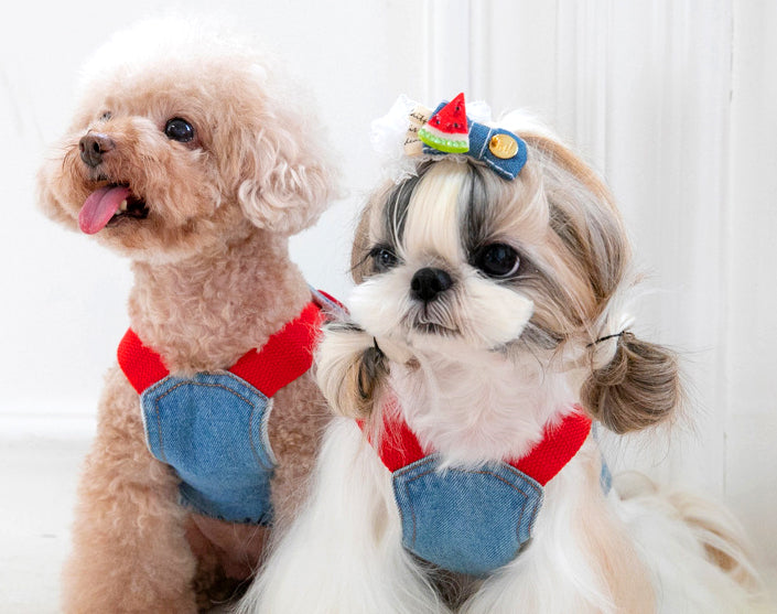 {{product_title}} - Cookies Wagging Friends Boutique