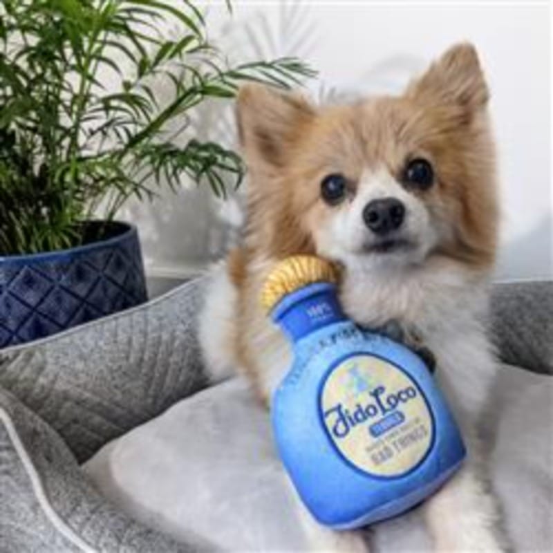 {{product_title}} - Cookies Wagging Friends Boutique