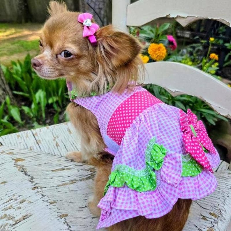 {{product_title}} - Cookies Wagging Friends Boutique