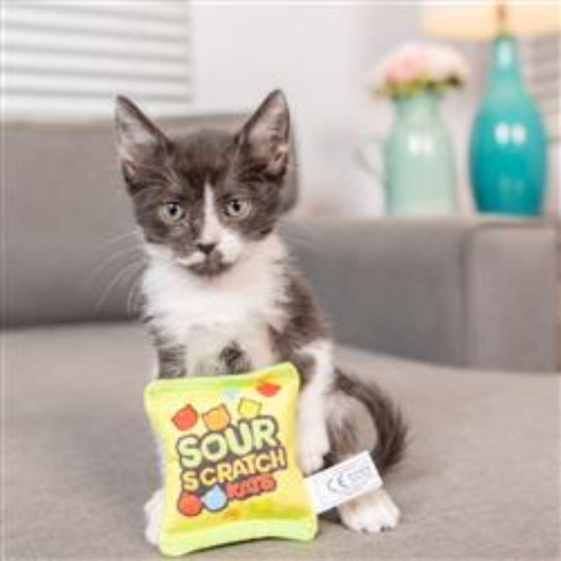 {{product_title}} - Cookies Wagging Friends Boutique