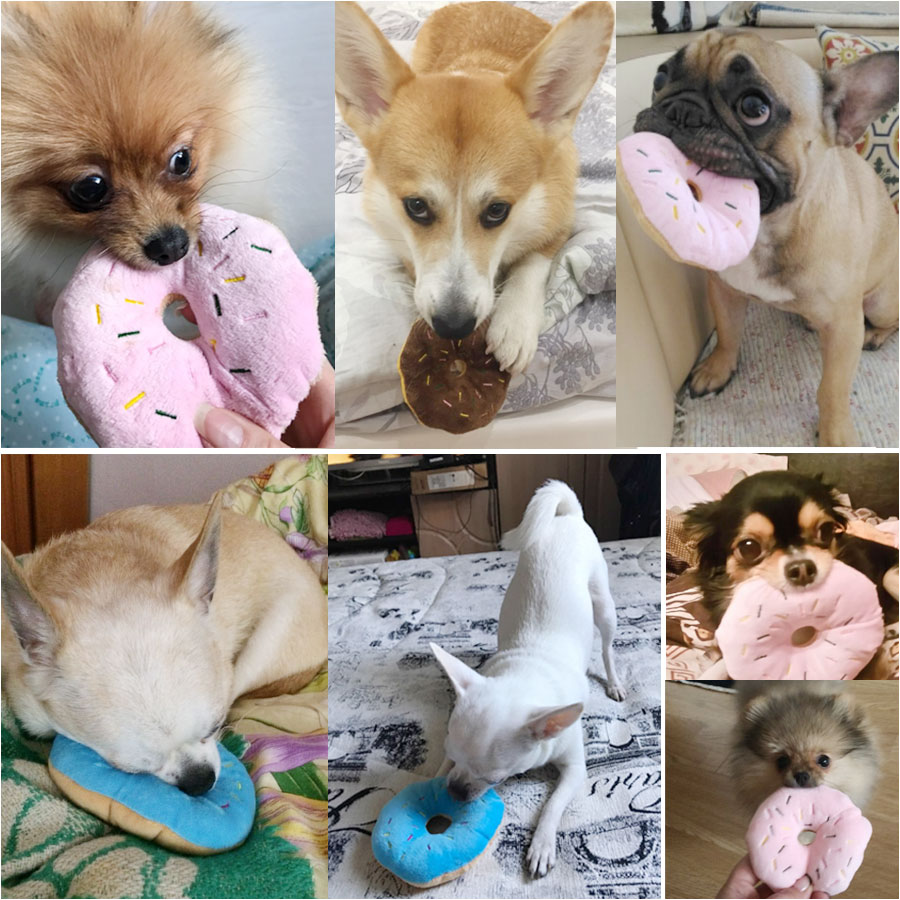 {{product_title}} - Cookies Wagging Friends Boutique