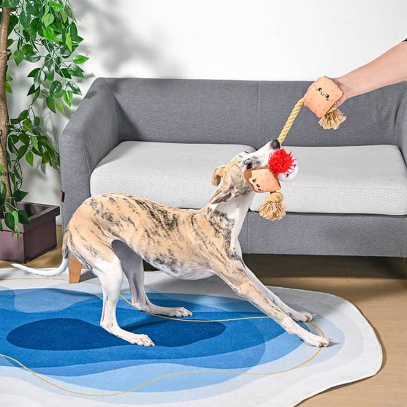 {{product_title}} - Cookies Wagging Friends Boutique