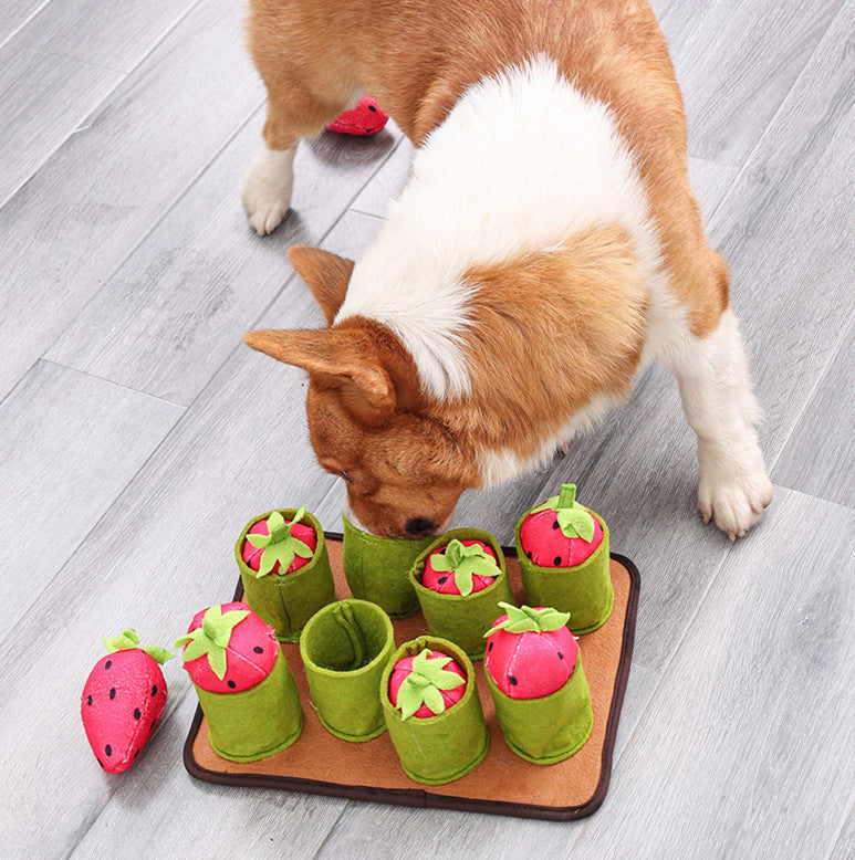 {{product_title}} - Cookies Wagging Friends Boutique