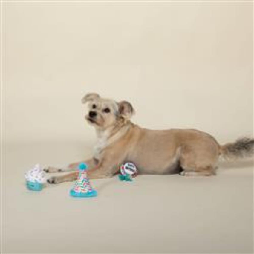 {{product_title}} - Cookies Wagging Friends Boutique
