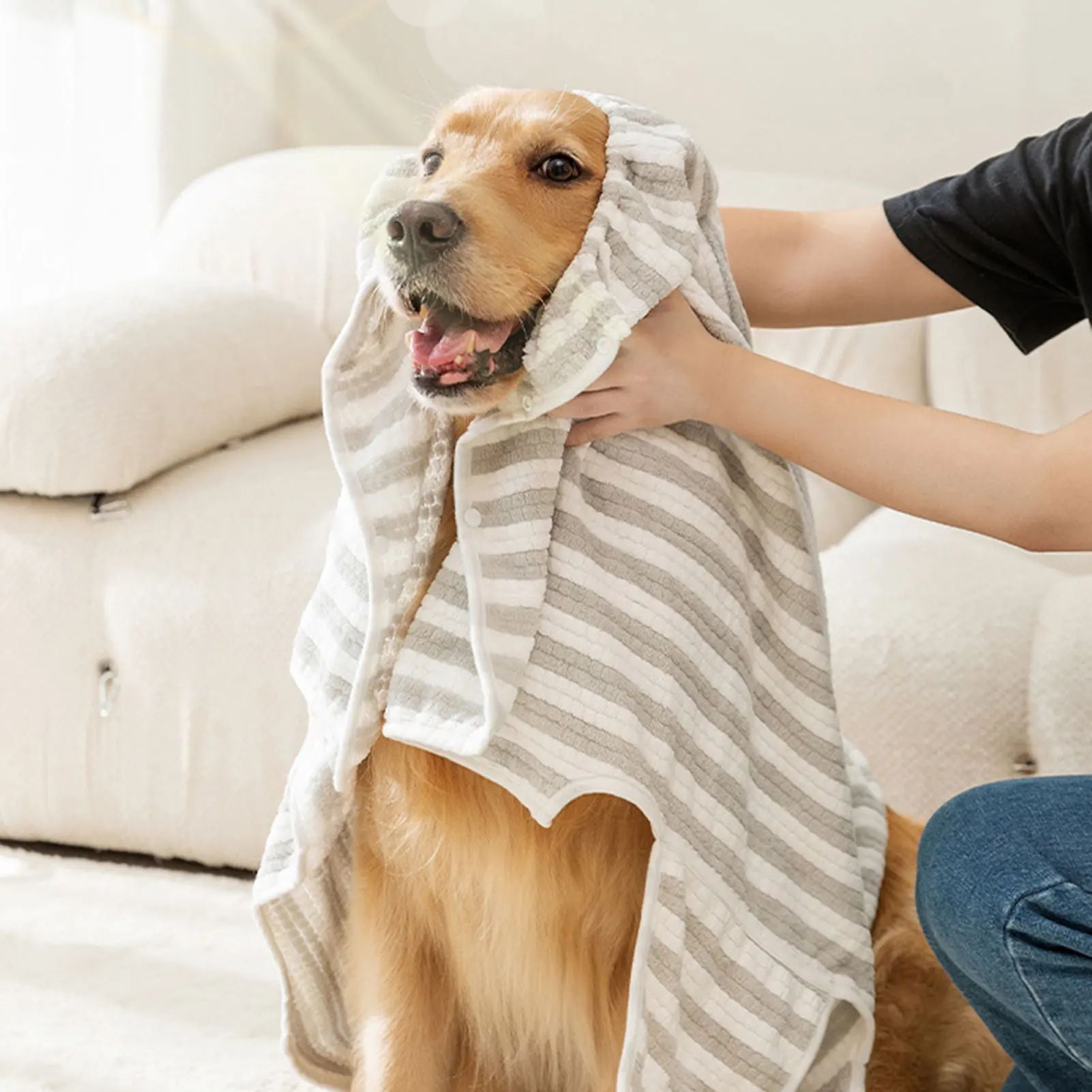 {{product_title}} - Cookies Wagging Friends Boutique