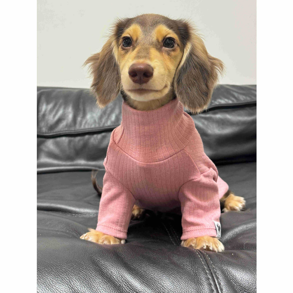 {{product_title}} - Cookies Wagging Friends Boutique