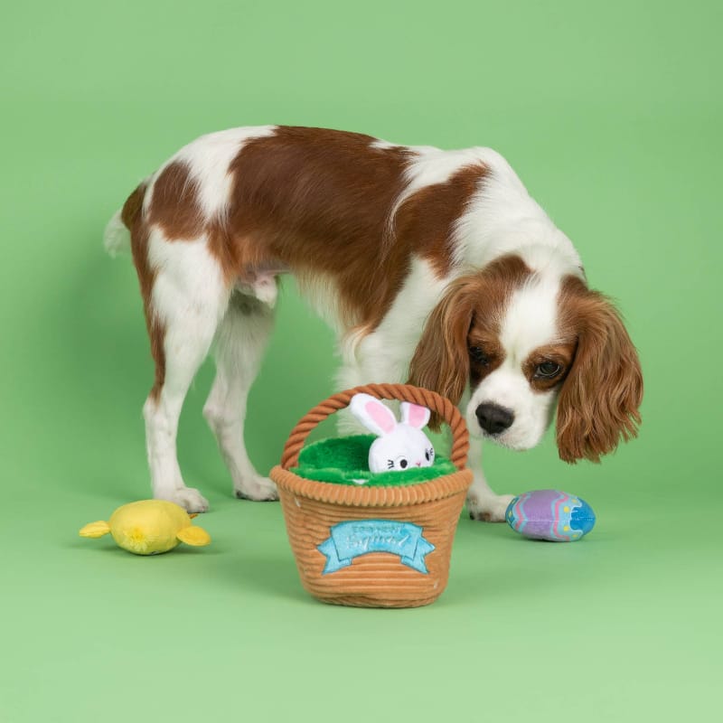 {{product_title}} - Cookies Wagging Friends Boutique