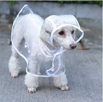 Transparent waterproof dog rain coat with hood, clear white trim and paw openings