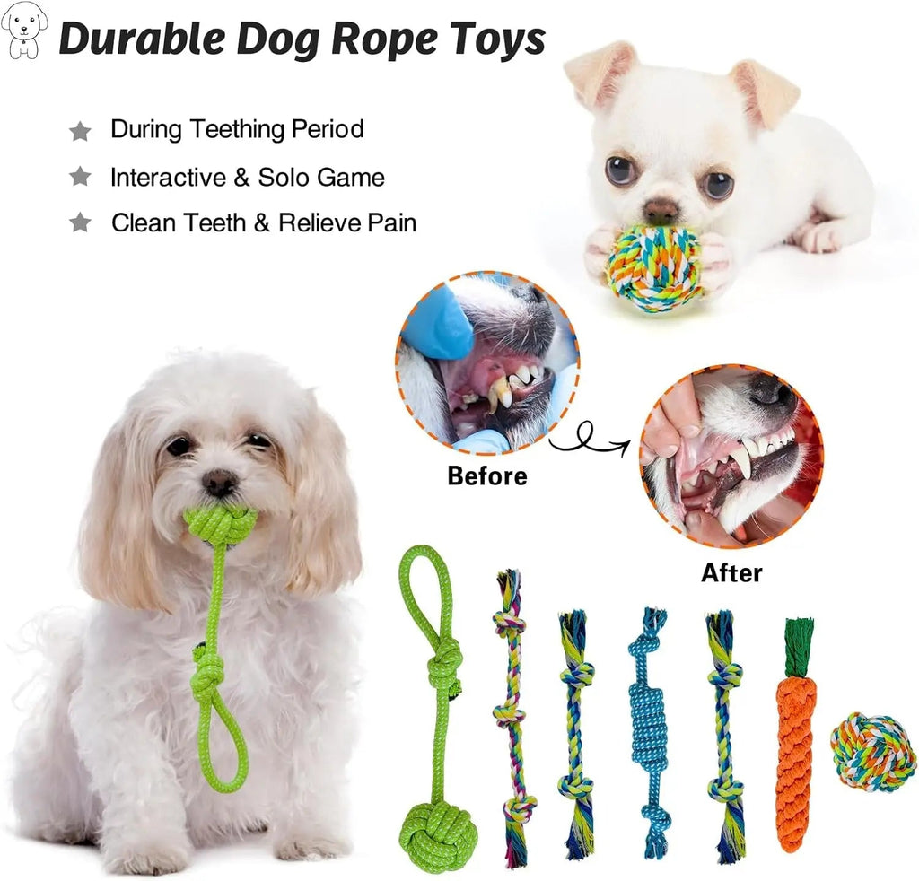 {{product_title}} - Cookies Wagging Friends Boutique