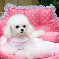 {{product_title}} - Cookies Wagging Friends Boutique