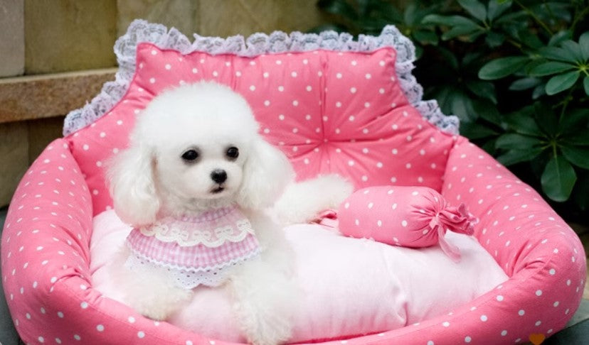 {{product_title}} - Cookies Wagging Friends Boutique