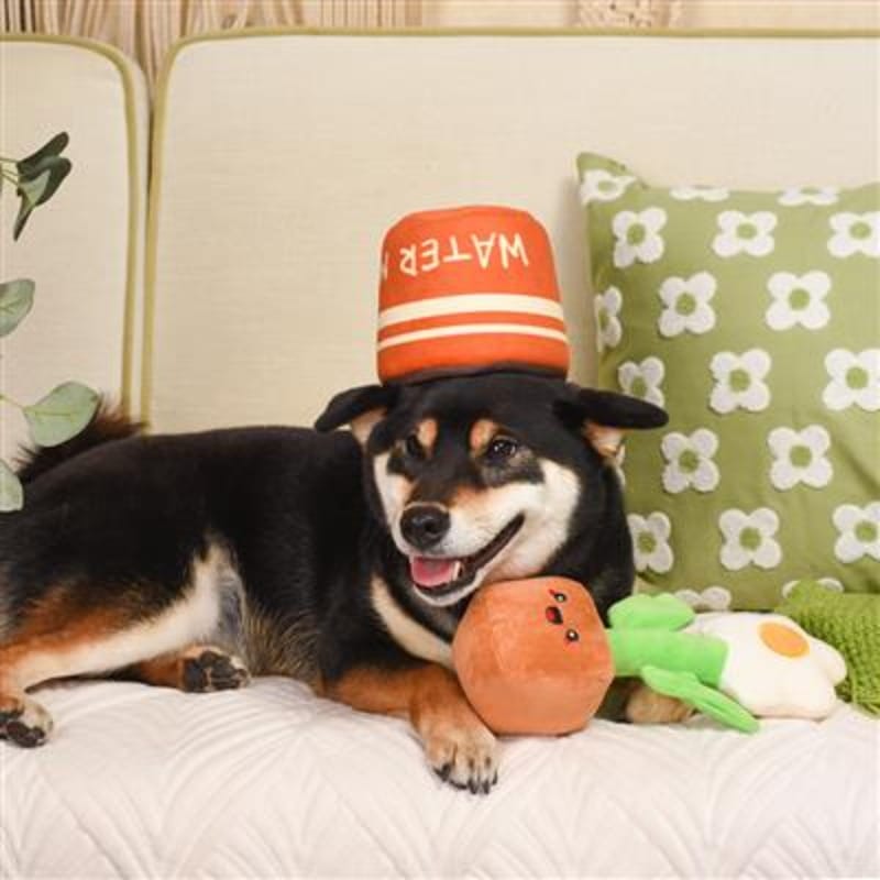 {{product_title}} - Cookies Wagging Friends Boutique