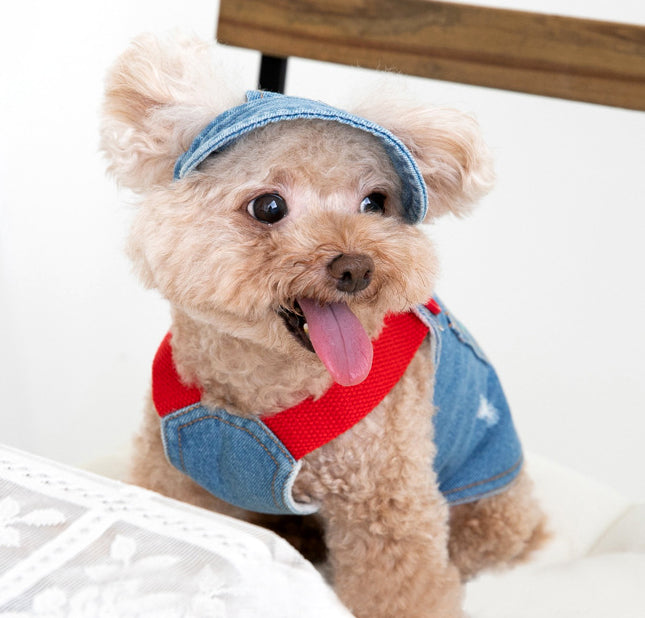 {{product_title}} - Cookies Wagging Friends Boutique