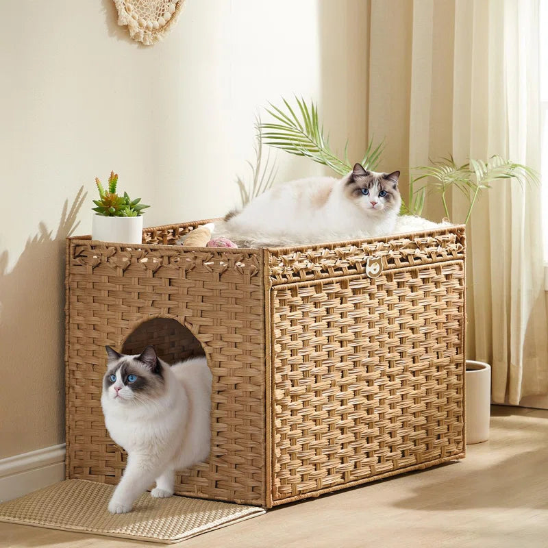 {{product_title}} - Cookies Wagging Friends Boutique