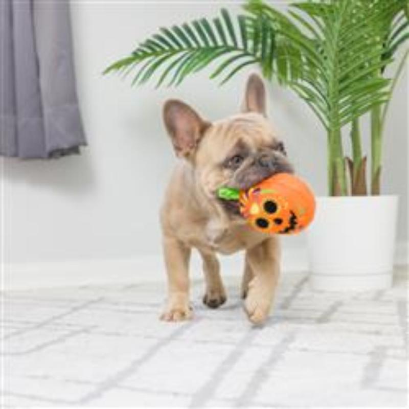 Orange jack-o’-lantern pumpkin dog toy with green stem, in a puppy’s mouth