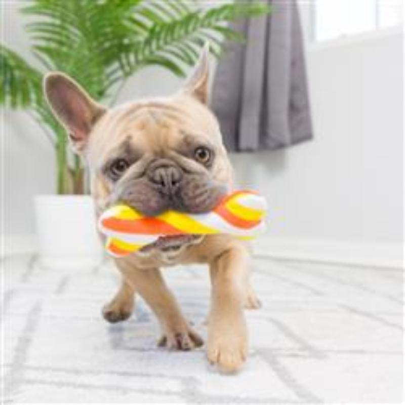 Orange jack-o’-lantern pumpkin dog toy in a puppy’s mouth