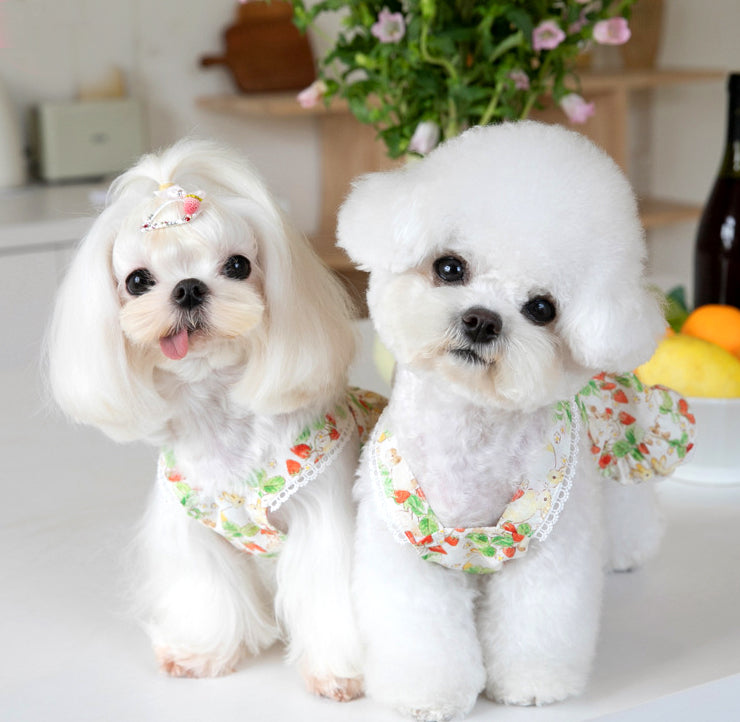 {{product_title}} - Cookies Wagging Friends Boutique