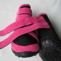 {{product_title}} - Cookies Wagging Friends Boutique