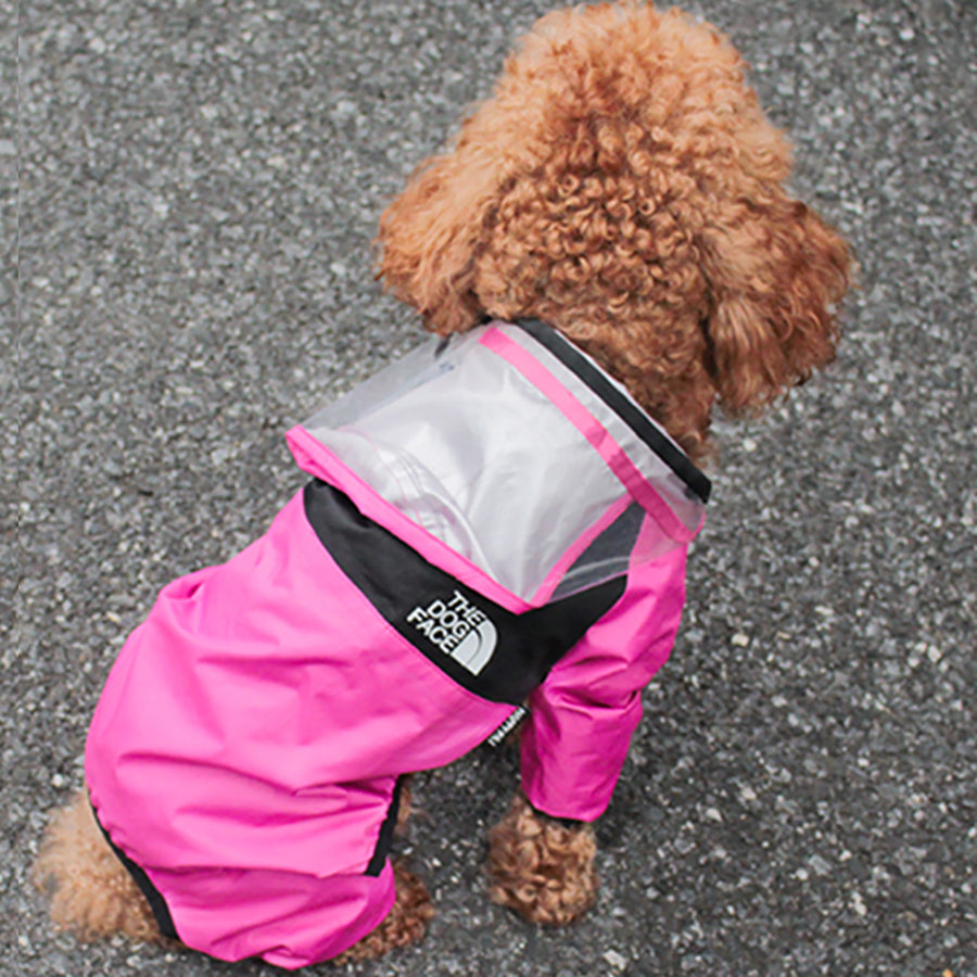 {{product_title}} - Cookies Wagging Friends Boutique