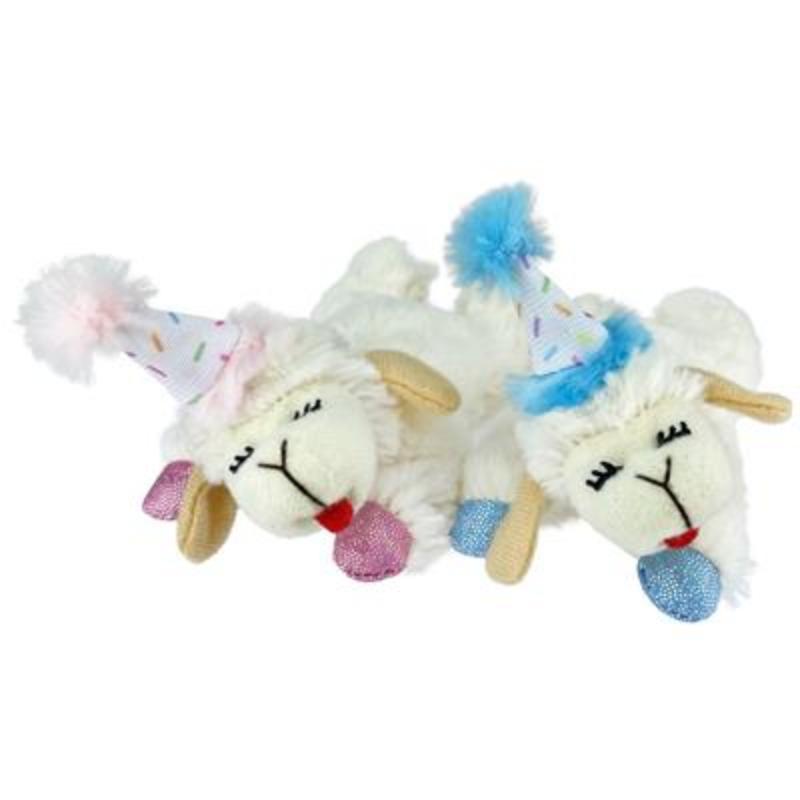 {{product_title}} - Cookies Wagging Friends Boutique