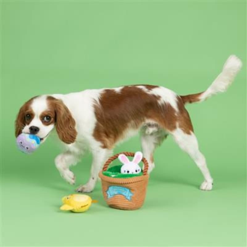 {{product_title}} - Cookies Wagging Friends Boutique