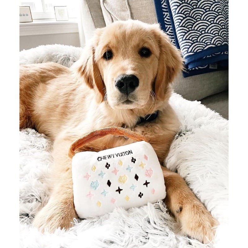 {{product_title}} - Cookies Wagging Friends Boutique