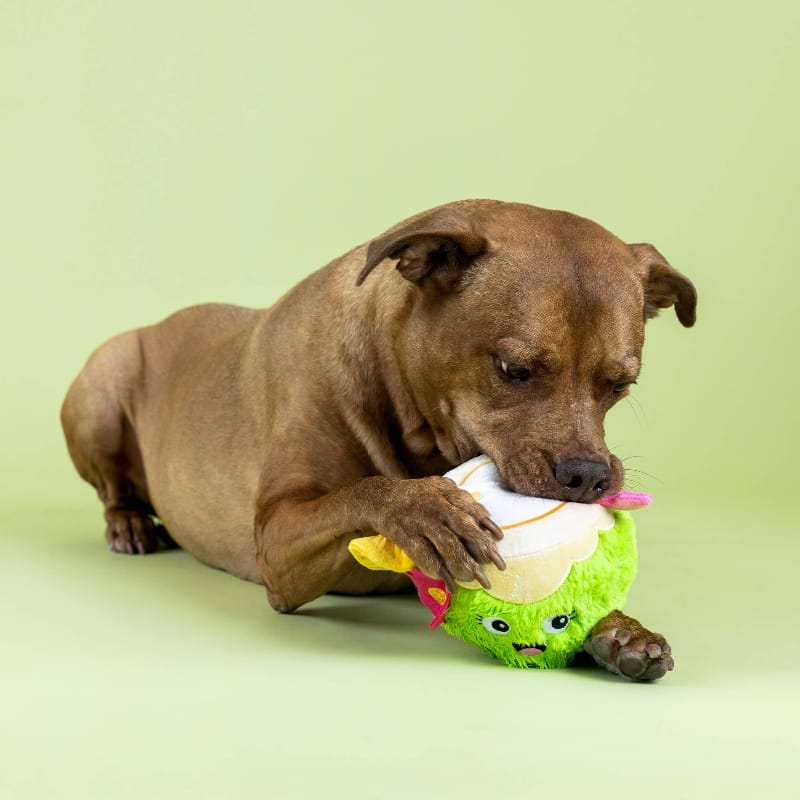 {{product_title}} - Cookies Wagging Friends Boutique